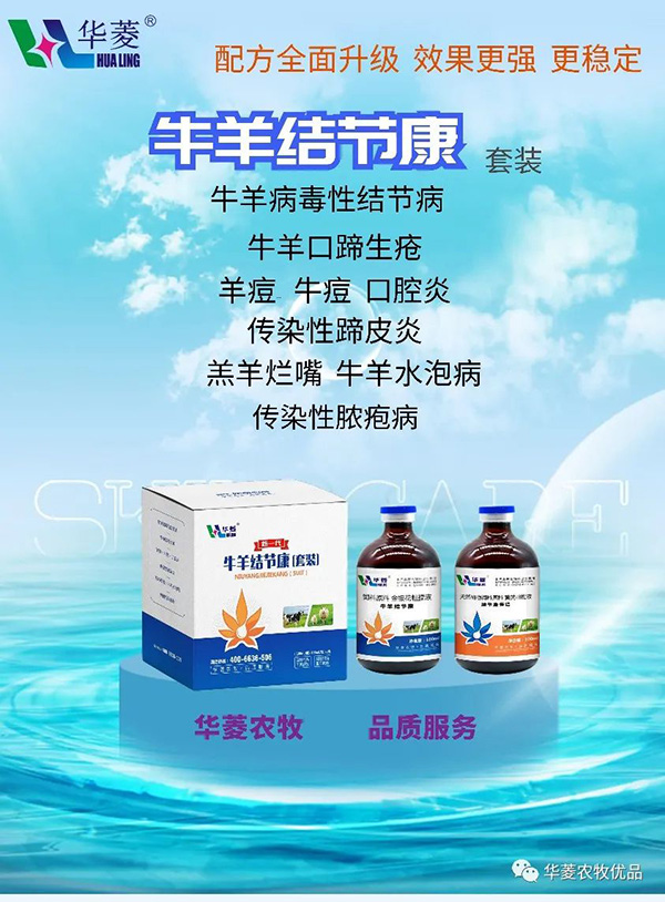 牛羊結(jié)節(jié)康
